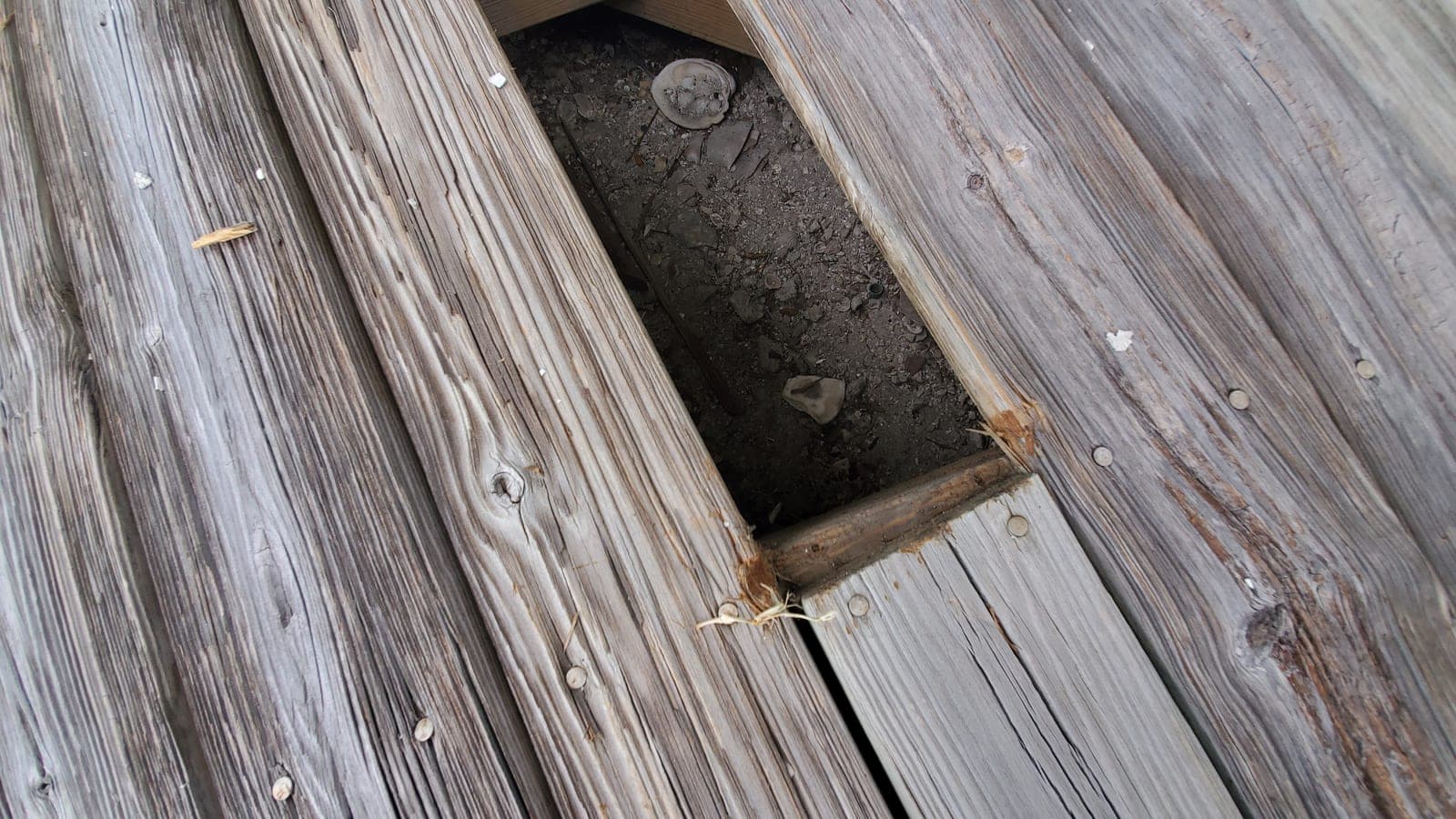 Close-up of a rotted deck board with a hole exposing framing — coastal Pinellas repair scope
